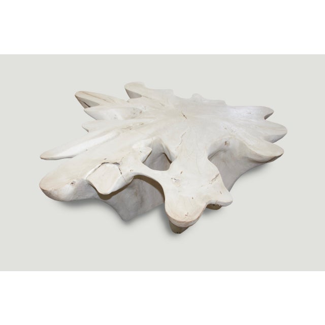 Andrianna Shamaris St. Barts Bleached Teak Wood Coffee Table For Sale - Image 16 of 18