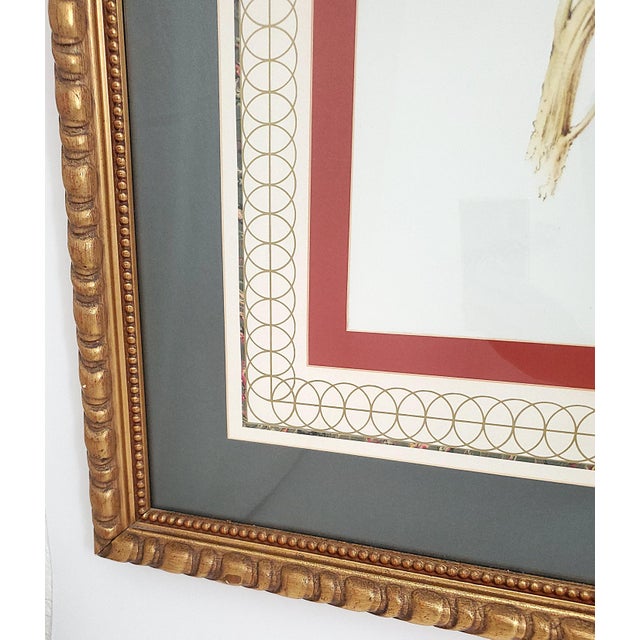 Red Print Large Bird Reproduction Signed John-Richards For Sale - Image 8 of 11