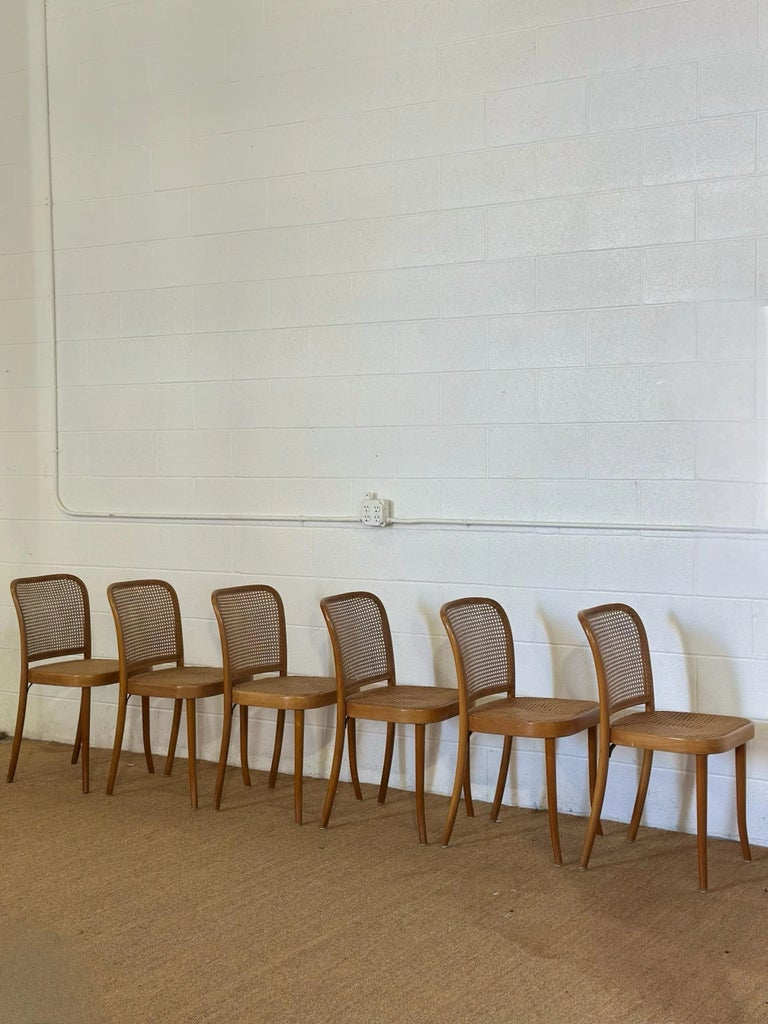 1930s Josef Hoffmann No. 811 Prague Bentwood & Cane Dining Chairs