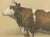 Borie, Mancelle Cow, French Cattle Breed, 1863, Chromolithograph For Sale - Image 4 of 9