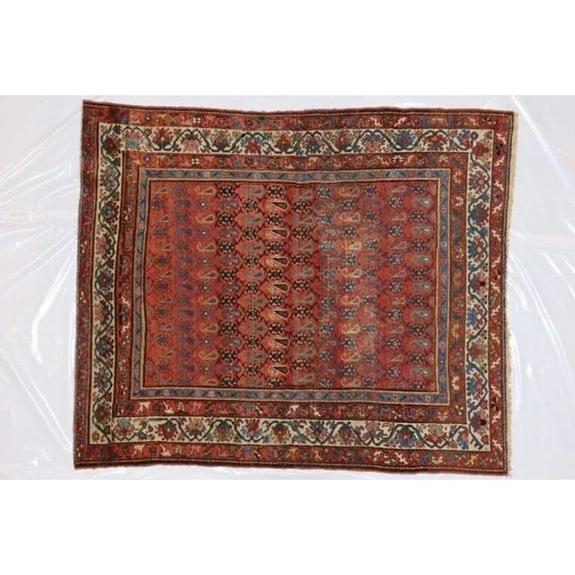 Wool pile genuine hand made antique Persian Vegetable dye Bakhtiar rug -