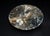 Pair Large Ammonite Plates 6.25" Millions Years Fossil For Sale - Image 10 of 12