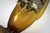 Amber-Tinted Glass Vase, 1930s For Sale - Image 9 of 11
