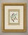 Orioles and tanagers print after Descourtilz, taken from the 1944 Rio de Janeiro edition of the Ornitologia Brasileira,...