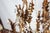 Larger metal chandelier in Florentine style with trimmings of hand-cut lead crystal. The chandelier has seven bulbs with a...