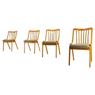 Dining Chairs attributed to Antonín Šuman, 1960s, Set of 4 For Sale