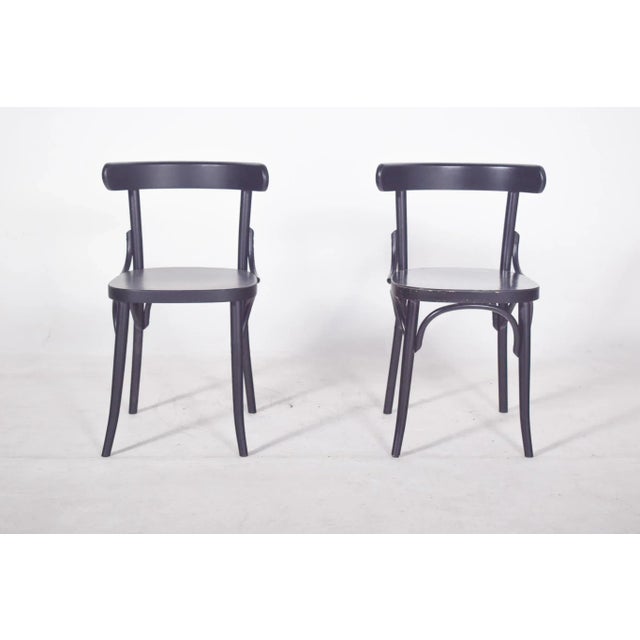 Vintage Black Lacquered Chair, 1950 For Sale - Image 10 of 10