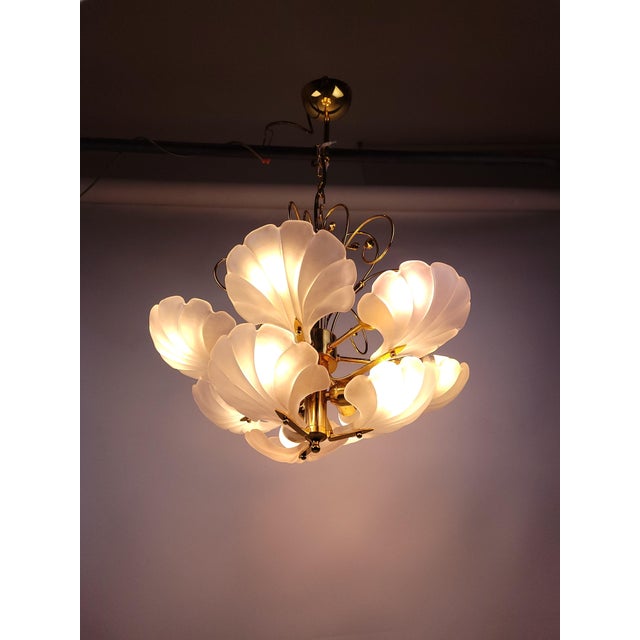 Glass Shell and Brass Chandelier attributed to Deknudt, 1970s For Sale - Image 14 of 18