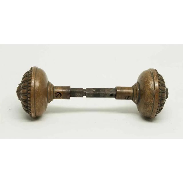 Mid 20th Century Floral Greek Bronze Entry Door Knobs For Sale - Image 4 of 6