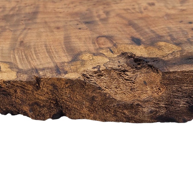 Wood Japanese Bonsai Stand Organic Modern Wood Burl Shou Sugi Ban16" For Sale - Image 7 of 10