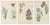 David Wooster, Victorian Triptych of Alpine Flowers from Alpine Plants, 1874, Print, Set of 3 For Sale - Image 3 of 5