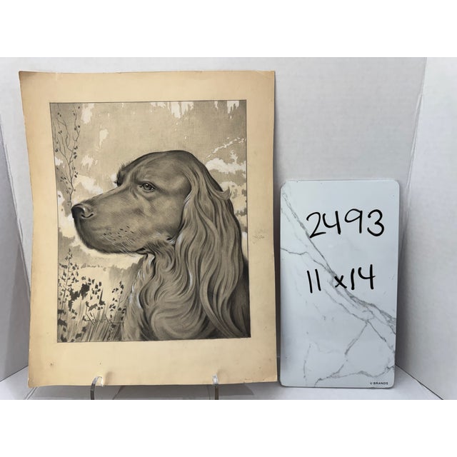 Paper 1940s Original Signed Graphite Illustration of Sporting Dog Setter Portrait, 14 × 11 In. For Sale - Image 7 of 7