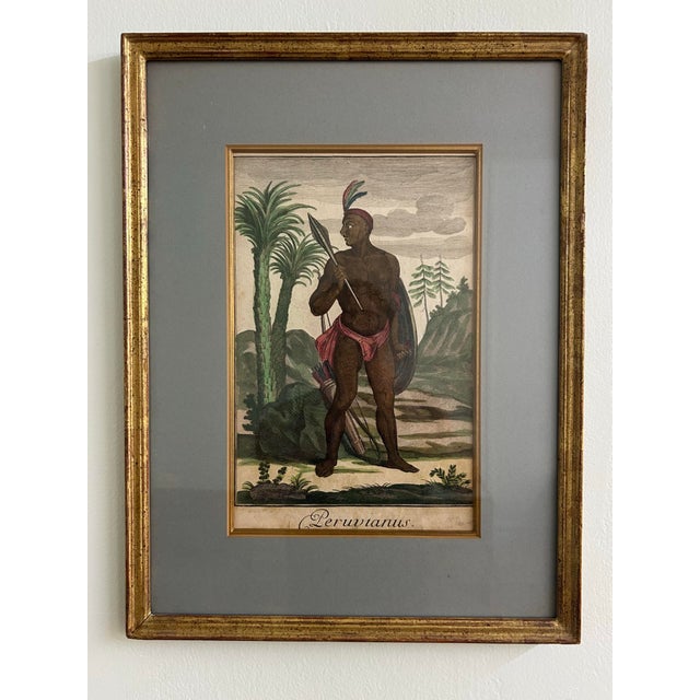 Antique 18thC Jeremias Wolff Hand-Colored Etching Peruvianus For Sale In New York - Image 6 of 6