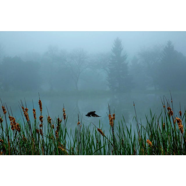 "Milwaukee Lake 3" Original Landscape Photograph by Michael Filonow For Sale