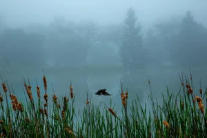 "Milwaukee Lake 3" Original Landscape Photograph by Michael Filonow