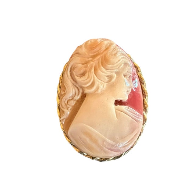 Carved shell cameo brooch on melamine. Off white, coral with gold tone roping edge.