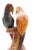 1970s Hand-Carved Hardwood Macaw Parrot Sculpture Vintage 1970s - Peruvian For Sale - Image 5 of 14