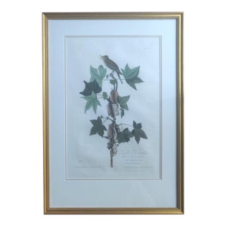 Early 19th Century Framed Original Audubon Print From Audubon’s Birds of America For Sale