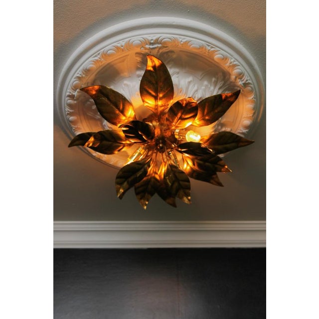 Gilt Metal Flower Shaped Four-Light Wall or Ceiling Lamp by Hans Kögl, 1970s For Sale - Image 6 of 18