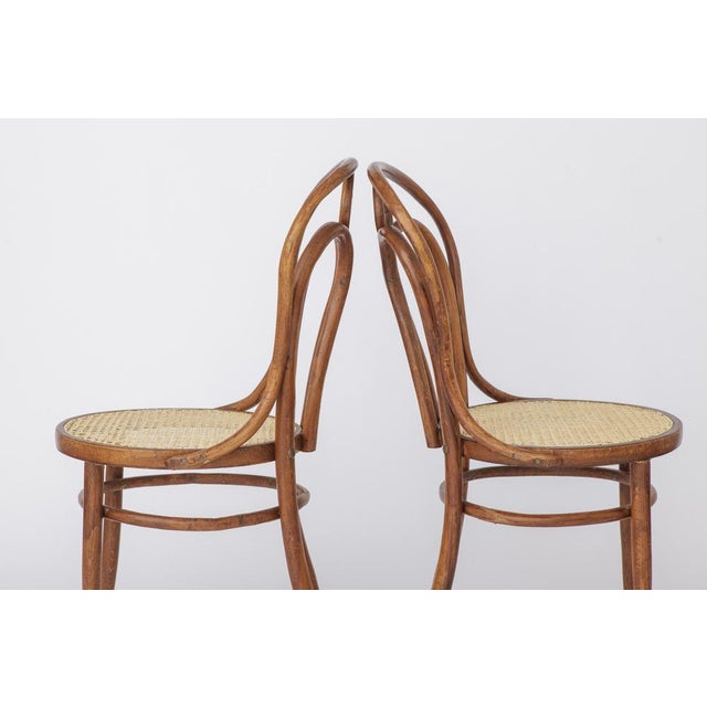 Wood Stained Beech Bentwood Angel Chairs with Vienna Cane Seats, 1940s, Set of 2 For Sale - Image 7 of 9