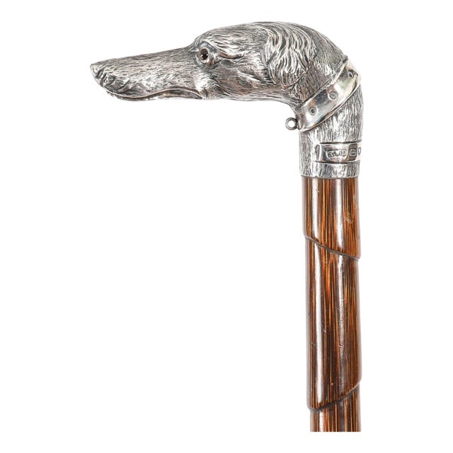 Antique Greyhound Head Sliver Handled Walking Stick Cane, 1890s For Sale