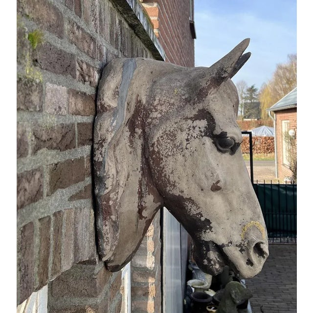 Plastic Life-Size Horse Head Sculpture, 1940s For Sale - Image 7 of 8