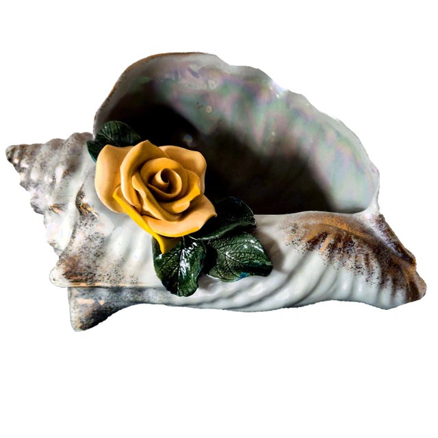 1920's Glossy celedon toned life sized porcelain Conch shell with 12K gold gilded edge highlights and has a yellow...