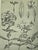 1902 Set of 3-Antique French Botanicals- Phlox, Bluets, Mallow, Documentation For Sale - Image 11 of 14