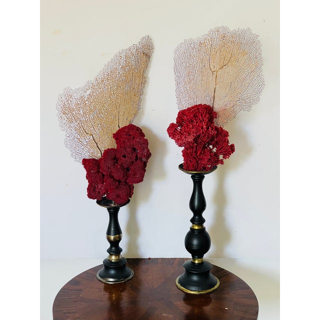 Gorgeous Pair of Sea Marine Assemblage on Stands For Sale - Image 9 of 14