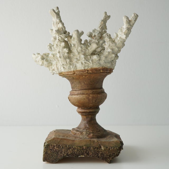 Faux Coral Assemblage on an Antique Italian Urn Decorative Sculpture For Sale - Image 15 of 15