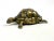 Mid-Century Modern Vintage Brass Turtle Figurine from Dinant, 1960s For Sale - Image 3 of 11