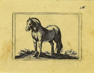 Antonio Tempesta, the Horse, Etching, 1610s