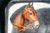 Majestic Hand Painted Antique 900 Sterling Silver Horse Equestrian Enamel Cigarette Case Tobacciana For Sale - Image 4 of 16