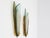 Large Wall Sconces by Max Ingrand for Fontana Arte, Italy, 1955, Set of 2 For Sale - Image 11 of 14