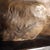 Brown Cane in Terracotta by Arturo Pannunzio For Sale - Image 8 of 9
