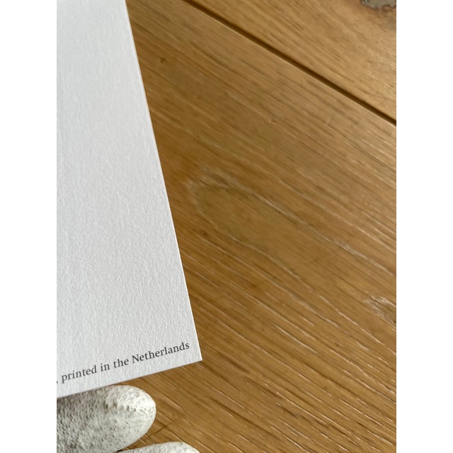 Domenico Gnoli (1933-1970), Bagnarola, 1966, Copyright Marzia Gnoli, 1994, Printed in the Netherlands For Sale - Image 6 of 12