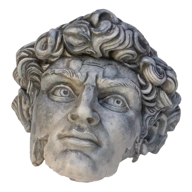 Head of David Fiberglass Sculpture For Sale