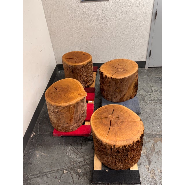 Organic Modern Live Edge Tree Side Table/ Stools, Set of Four For Sale - Image 4 of 12