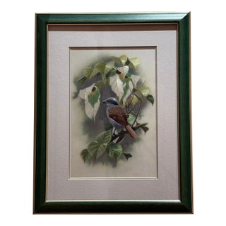 Late 20th Century Museum-Grade Masterpiece Artall Suzhou "Su" Hand-Embroidered Fine Silk Shrike Study (Boxed & Signed) For Sale