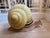 Rare Large Sergio Bustamante Signed/Numbered Snail Sculpture For Sale - Image 9 of 12