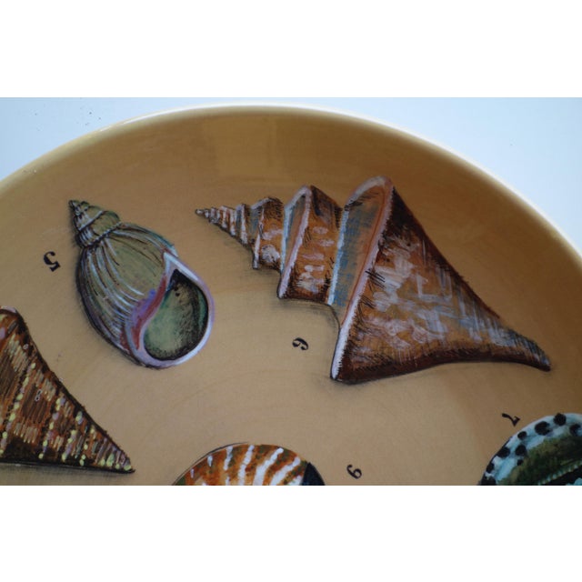 1950s Handpainted Ceramic Shells and Pipes Plates, 1950s, Set of 2 For Sale - Image 5 of 14
