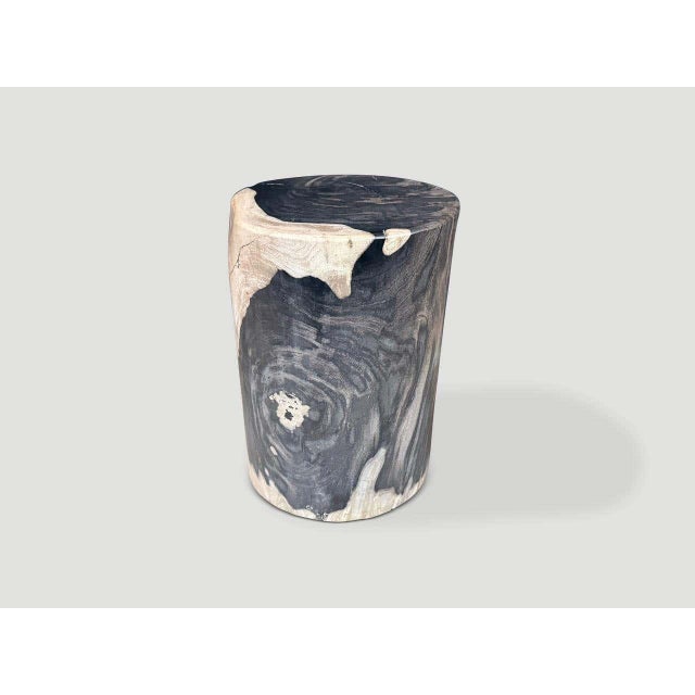 2010s Andrianna Shamaris Modern Organic Super Smooth Petrified Wood Side Table For Sale - Image 5 of 5
