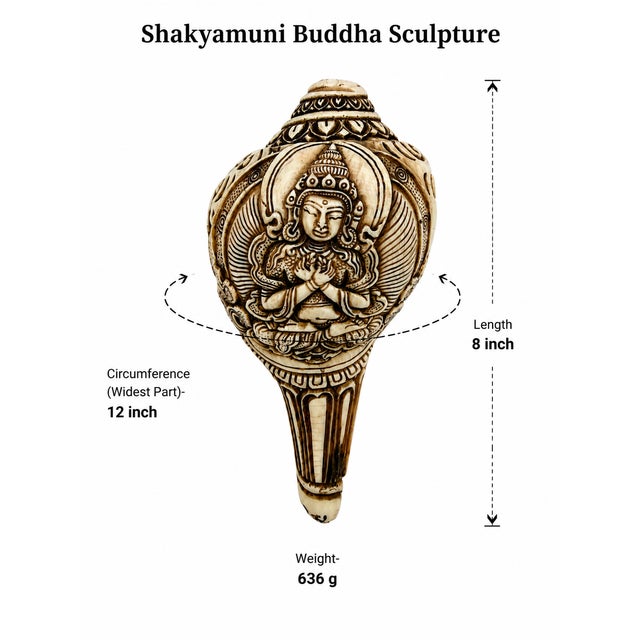 2000 - 2009 Hand-Carved Shakyamuni Buddha Conch Shell For Sale - Image 5 of 6