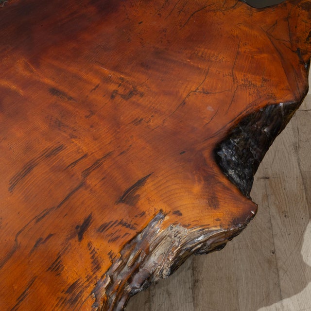Vintage Live Edge Redwood Burl Coffee Table c.1960 For Sale - Image 9 of 11