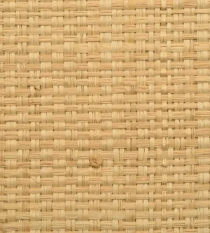 Hinson for The House of Scalamandre Hinson Madagascar Grand Wallcovering, Natural
