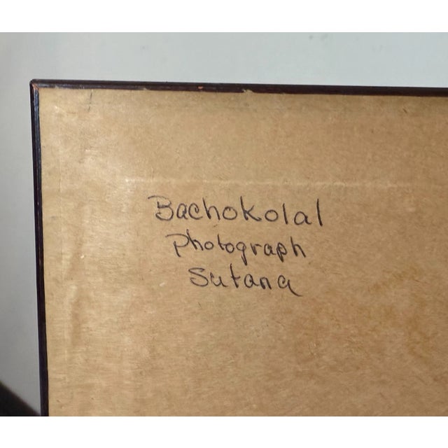 Antique Original 19th Century Framed Indian Dual Tiger Hunt Sepia Photographs For Sale - Image 12 of 13