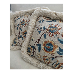 Pair of Rosa Bernal Pillows
