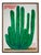 David Shrigley, Keep Your Ass Away from the Cactus, 2020, Screenprint For Sale