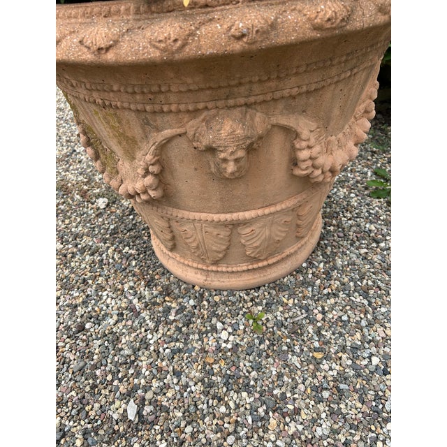 Classic Tuscan Terracotta Planter With Embossed Decoration For Sale In Philadelphia - Image 6 of 7