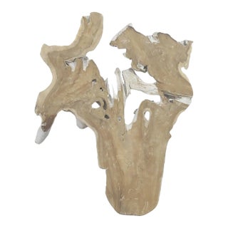 Organic Teak Root Sculpture Wall Art 12 For Sale